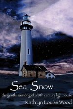 Sea Snow: the gentle haunting of a 19th century lighthouse