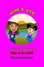 Uche and Uzo Say it in Igbo vol.6: Vol.6 Things we see outside