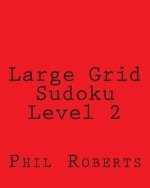 Large Grid Sudoku Level 2: Sudoku Puzzles For Timed Challenges