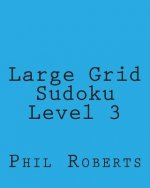 Large Grid Sudoku Level 3: Easy to Medium Sudoku Puzzles