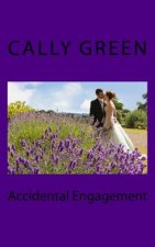 Accidental Engagement: A Modern Romance