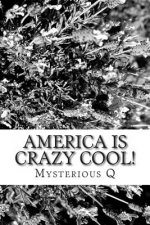 America is CRAZY COOL!