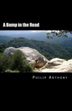 Bump in the Road