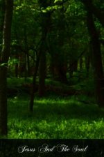 Jesus And The Soul: Colloquies For Those Who Wish To Love And Serve Him More Fervently
