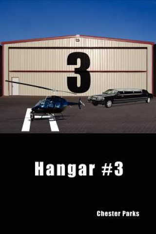 Hangar #3
