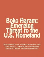 Boko Haram: Emerging Threat to the U.S. Homeland