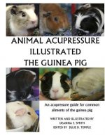 Animal Acupressure Illustration The Guinea Pig