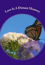 Love Is A Distant Memory