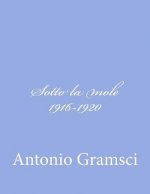 Sotto la mole 1916-1920