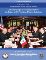 Critical Strategic Decisions in Mexico: the Future of US/Mexican Defense Relations