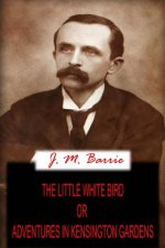 The Little White Bird Or Adventures In Kensington Gardens