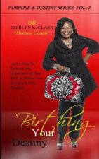 Birthing Your Destiny: How to Release the Greatness of God That is Within You to Obtain Your Destiny