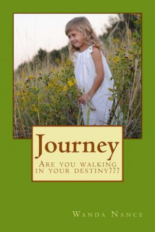 Journey: Are You Walking In Your Destiny