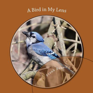 A Bird in My Lens