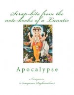 Scrap-bits from the note-books of a Lunatic: Apocalypse