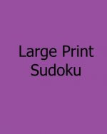 Large Print Sudoku: Easy to Moderate, Vol. 2: Enjoyable, Large Grid Puzzles