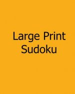 Large Print Sudoku: Level A: Fun, Big Print Puzzles