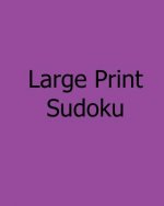 Large Print Sudoku: Level B: Fun, Big Print Puzzles