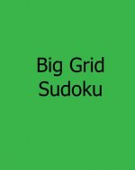 Big Grid Sudoku: Enjoyable, Large Print Puzzles