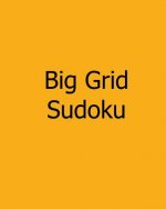 Big Grid Sudoku: Vol. 4 - Large Print Puzzles