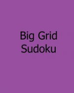 Big Grid Sudoku: Easy to Medium Puzzles
