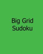 Big Grid Sudoku: Large Print Level 1 Sudoku Puzzles