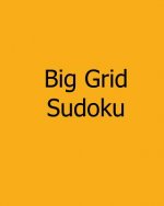 Big Grid Sudoku: Level 1 and Level 2 Sudoku Puzzles
