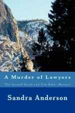 A Murder of Lawyers: The Second Steph and Tim Baker Mystery