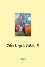 Orfeo lungo la Statale 191: poesie