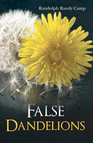 False Dandelions