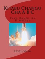 Kitabu Changu Cha A B C: Paka Rangi Na Ujifunze