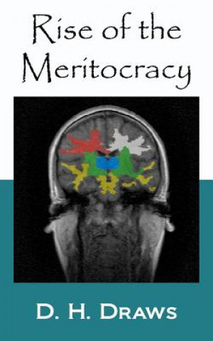 Rise of the Meritocracy