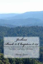 Joshua Book II: Chapters 8-24: Volume 6 of Heavenly Citizens in Earthly Shoes, An Exposition of the Scriptures for Disciples and Young