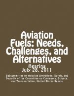 Aviation Fuels: Needs, Challenges, and Alternatives