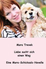 Liebe sucht sich einen Weg: Eine Mara-Schicksals-Novelle