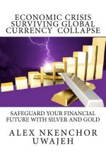 Economic Crisis: Surviving Global Currency Collapse: Safeguard Your Financial Future with Silver and Gold