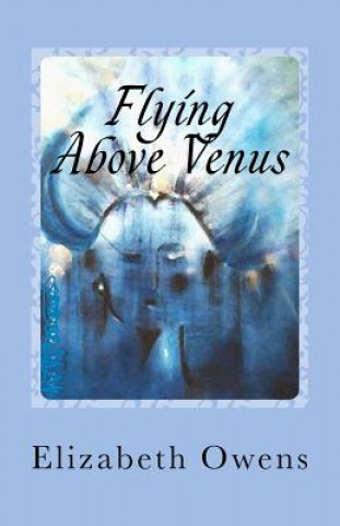 Flying Above Venus