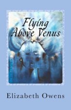 Flying Above Venus