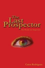 The Last Prospector