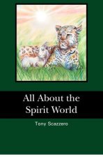 All About the Spirit World