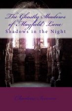 The Ghostly Shadows of Mayfield Lane: Shadows in the Night
