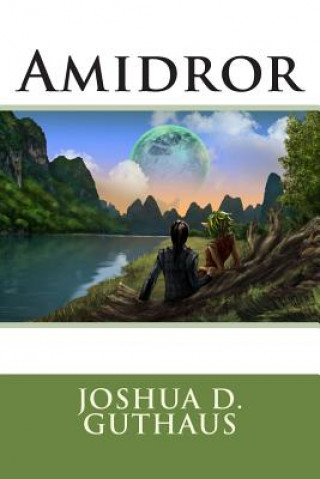 Amidror