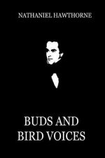 Buds And Bird Voices