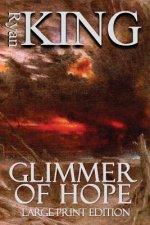 Glimmer of Hope (Large Print Edition)