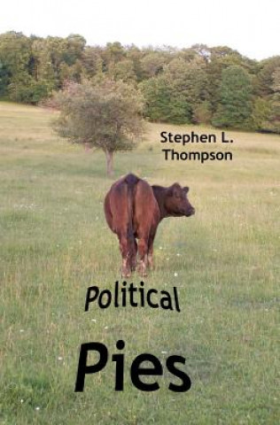 Political Pies