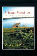 Picture Perfect Life