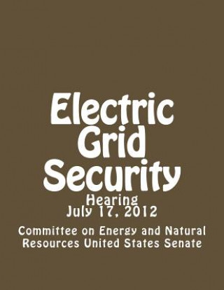 Electric Grid Security
