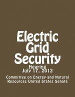 Electric Grid Security