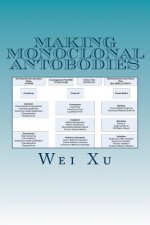 Making monoclonal antobodies: A CMC strategy and QbD approach