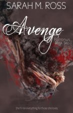 Avenge: The Patronus: Book Two